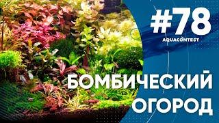 Нереально Бомбический огород #Aquacontest