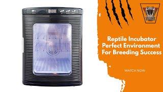 Reptile Incubator  VIPER Reptile Products