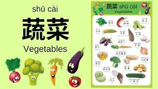 Learn Different Vegetables in Mandarin Chinese for Toddlers Kids & Beginners  蔬菜