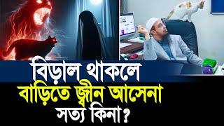 বিড়াল থাকলে বাড়িতে জ্বীন আসেনা সত্য কিনা। Mustafiz Rahmani