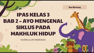 IPAS Kelas 3 SD - Bab 2 Ayo Mengenal Siklus pada Makhluk Hidup  Kurikulum Merdeka