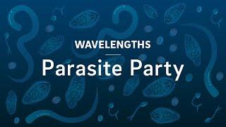 Parasite Party