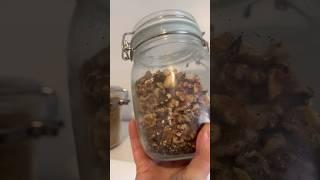 Pantry Moth Infestation What I Learned