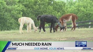 Nicholasville farmers await much-needed rain agriculture commissioner pitches in