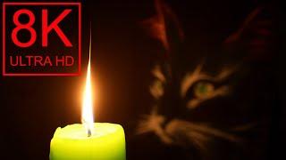 8К Кот со свечой  8K Ultra HD Cat  Горящая свеча  Burning candle  Relaxation  Chill out 4K  4К