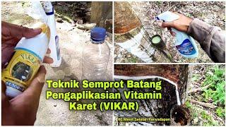 Uji Coba Vitamin Karet VIKAR Dengan Teknik Semprot Batang