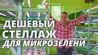 Cheap effective rack microgreen hydroponics  microgreen Job on home