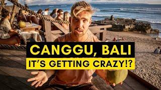 How is CANGGU BALI Now in 2024??