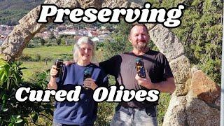 Piglet Escape and a Tasty Cured Olive Recipe - 180