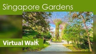 Virtual Walks - Singapore Botanical Gardens & Parks