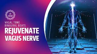 Rejuvenate Vagus Nerve for Serenity and Bliss  Vagal Tone Binaural Beats Meditation Music