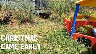 FAMILYS OVERGROWN BACKYARD RECEIVES A MAKEOVER FOR CHRISTMAS