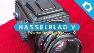 A Brief Introduction to Hasselblad V  500 - Kamerastore