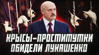 Как Лукашенко обзывает беларусов а потом на них же и обижается  Сейчас объясним