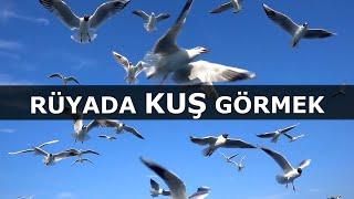 Rüyada Kuş Görmek  İslami Rüya Tabiri  Dini Rüya Tabirleri