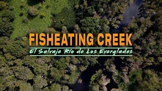 Fisheating Creek El Salvaje Rio de Los Everglades