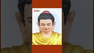 Khúc nhạc Phật cuối ngày để tâm thanh tịnh  Tạ Ơn Từ Phụ