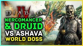 Diablo 4  Druid & Necromancer Vs. Ashava The World Boss Multiplayer Coop Gameplay