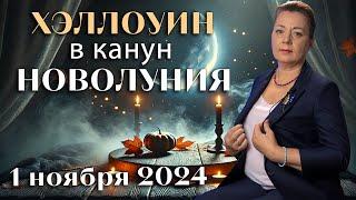 НЕ УПУСТИТЕ ПОСЛЕДНИЙ ХОРОШИЙ ПЕРИОД НОВОЛУНИЕ 1 НОЯБРЯ 2024