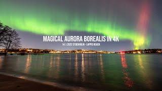 Magical Aurora Borealis in Stockholm - Real time in 4K 14.1.2022