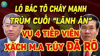 NÓNG TRÙM CUỐI LÃN ÁN VỤ 4 Tiếp Viên Hàng Không Xách MAI THÚY Về Nước ĐÃ RÕ - THTS