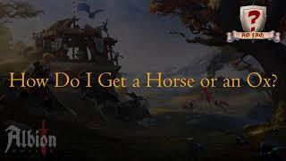How Do I Get a Horse or an Ox in Albion Online?