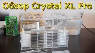 Честный Обзор Муравьиной Фермы Crystal XL Pro