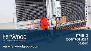 Vertical Panel Saw in action - STRIEBIG CONTROL 5224 - Ferwoodgroup - 005520