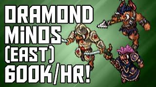 Tibia Where to Hunt – RP 90+ Oramond Minos East 600khr @ 97