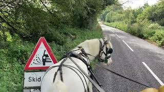 A Horse That Dives Off The Road - with Silver the Cob