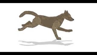 Running dog animation