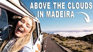 Madeira Travel Guide Toboggans Jeep Safari & INSANE Hikes