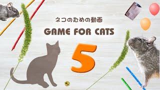 【猫用動画MIX５】ねずみ・ねこじゃらしなど26分 GAME FOR CATS 5