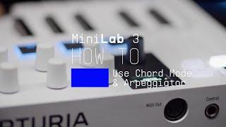 MiniLab 3  How To Use Chord Mode & the Arpeggiator