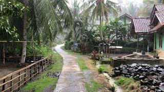 Heavy Rain Refreshes Peaceful Village Life  Just Need The Sound of Rain to Sleep Soundly  Asmr