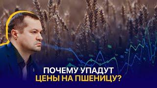 Урожай 2024 в Казахстане погода радует а цены нет. Что думают фермеры?