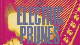 The Electric Prunes - Singles 1966 - 1969 Had Too Much To Dream