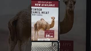 Where can buy camel meat in Dubai