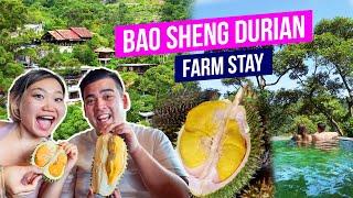 We stayed at a DURIAN FARM in Penang