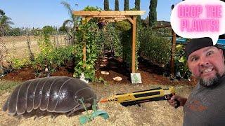 How to Keep Pill Bugs Rollie Pollie from Eating you Plant Starts.