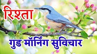 Good morning Suvichar Vichar  Good Morning sms greeting wishes video। गुड मॉर्निंग हिंदी सु-विचार