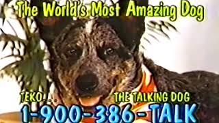 Teko The Talking Dog & Reincarnated Pets