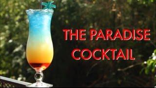 How To Make A Paradise Tropical Layered Cocktail  Drinks Made Easy
