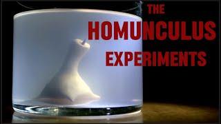 The Homunculus Experiments