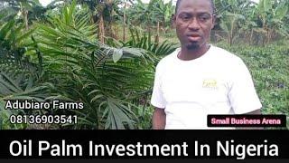 Oil Palm Tree Farming and Investment in Nigeria #Oilpalmfarming