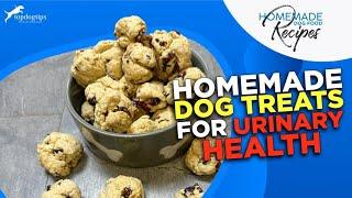 Recipe Homemade Dog Treats for Urinary Health