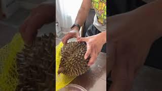 How to open a durian without knife