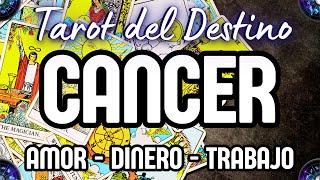 CANCER ️ POR MÁS QUE CREAS QUE NO SALEN LAS COSAS ESPERA Y VERÁS Tarot del Destino #cancer