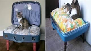 Оригинальные лежанки для кошек из чемоданов
