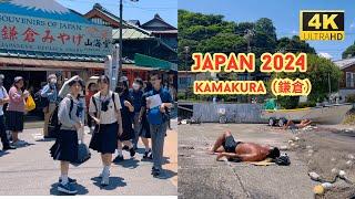 4k hdr japan travel 2024  Walk in Kamakura（鎌倉）Kanagawa japan   Relaxing Natural City ambience